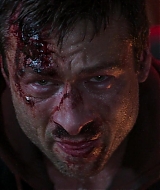 2496.jpg